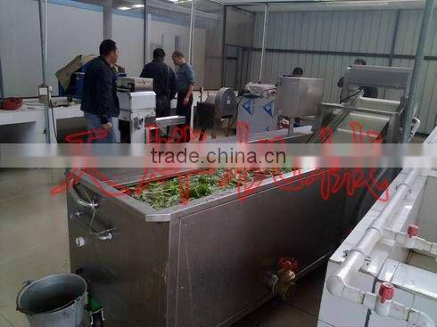 Guangxi Y. L. Vegetable Processing Factory