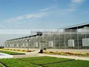 Hydroponics Greenhouse Multi Span PC Sheet greenhouse commercial greenhouse for agriculture