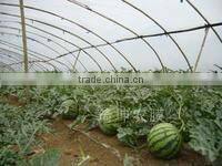 blow molding agriculture film