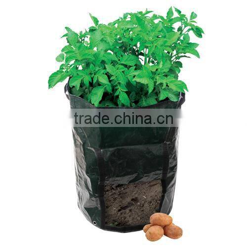 Black PE Potato Planting Bag