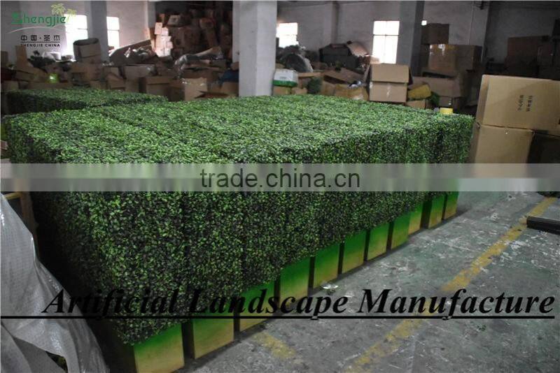 SAS016082 Plastic Material and Ornaments Type Artificial boxwood Panel