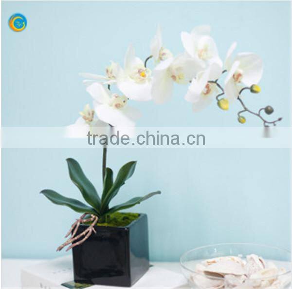 Murano glass vases and bottles