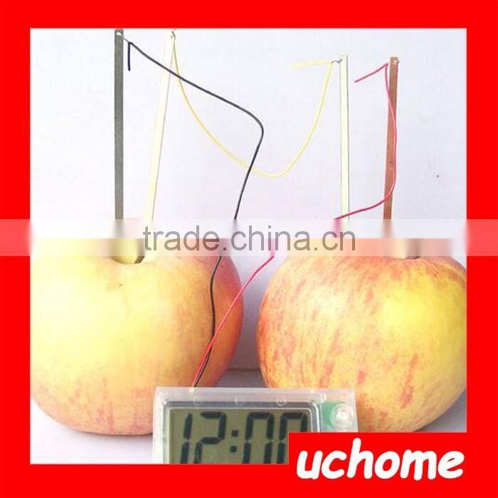 UCHOME Green Science DIY Potato Battery Clock Set