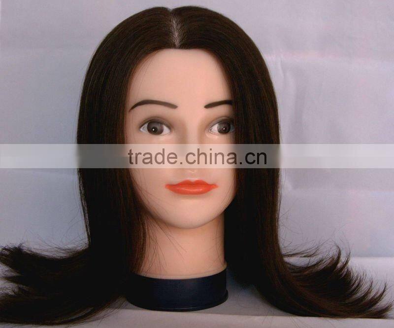Beauty School Human Hair Trainning Head Salon Teaching Head Hair Styling Head