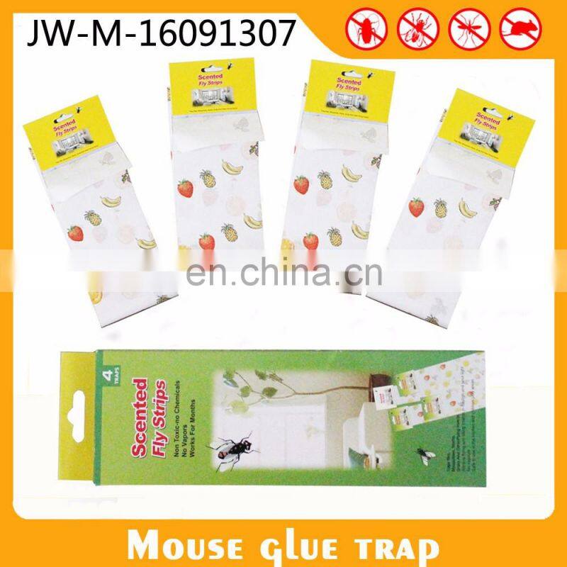 Insecticides For Public Health Sticky Fly Paper Fruit Fly Glue Board