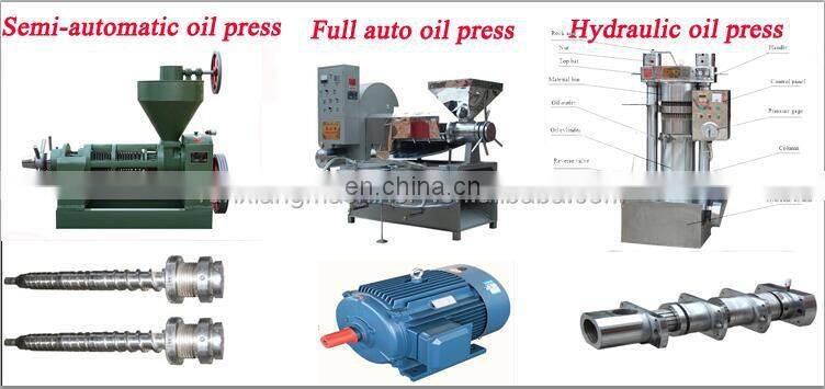 Jatropha Palm Sacha Inchi Peanut Sesame Hazelnut Flax Seed Cold Screw Oil Filter Press Expeller Machine