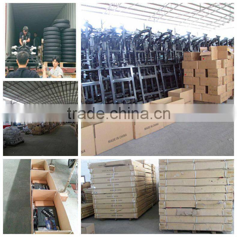 Flexiable three wheel cargo trike/scooter