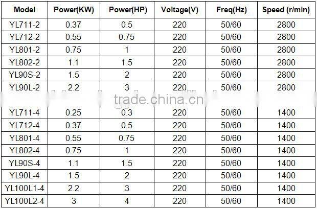 YL SERIES SINGLE-PHASE CAPACITOR START INDUCTION AC MOTORS
