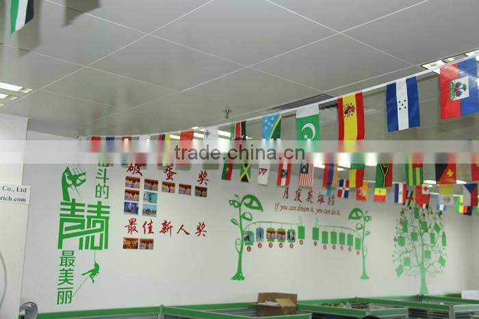 2016 trendy designed carbon fiber 29er Mountain bike from Enrich Car