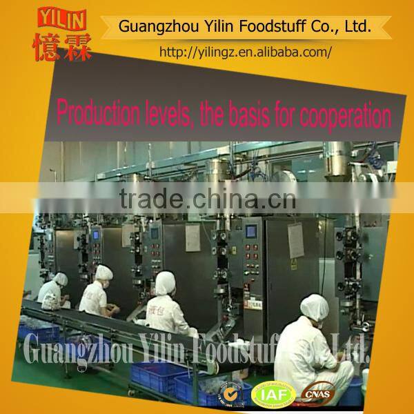 Garlic Flavor Marinated Seasoning Powder made in china