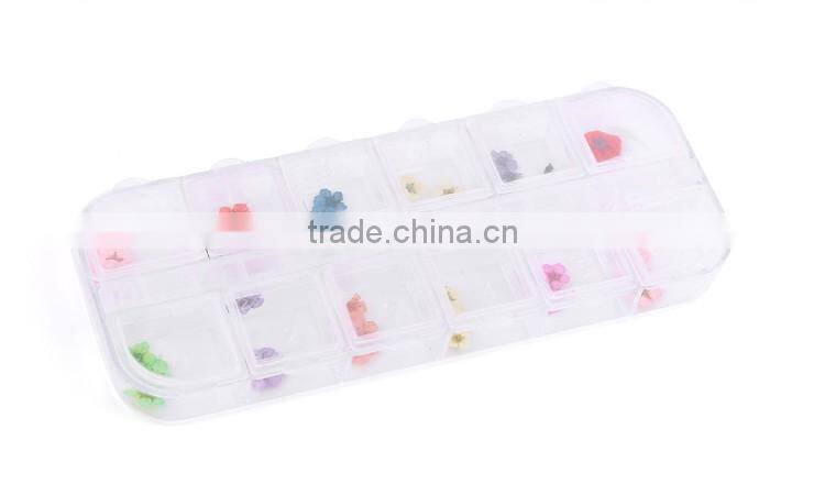 Nail art accessories real dry dried flowers 12 colors in rectangle