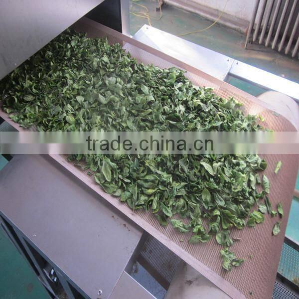 tunnel type industrial micrwave peanut dryer /sterilization machine