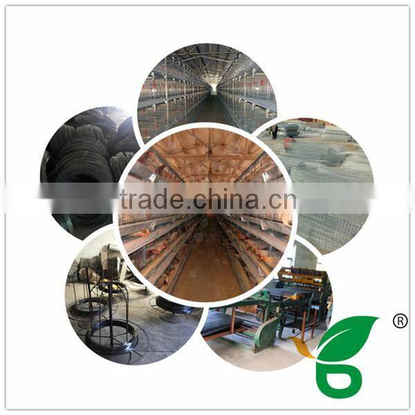 drinking water system with full equiped feeding system