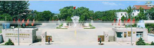 coal-based aquarium filter media activated carbon