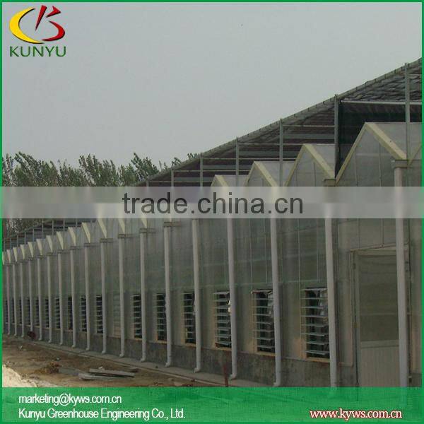 Venlo type polycarbonate greenhouse greenhouse for agriculture