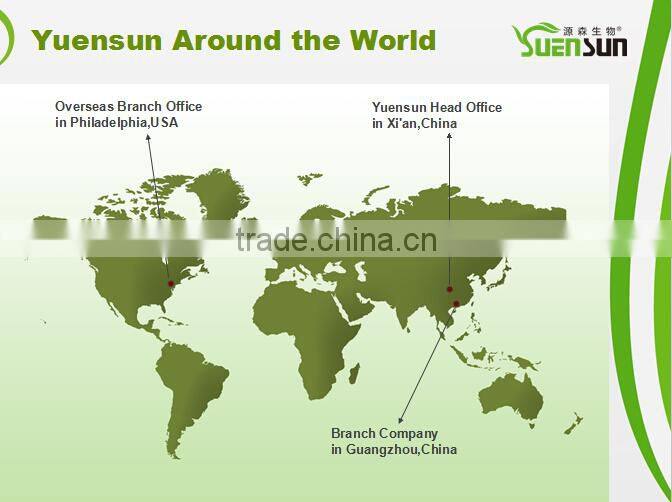 Top Quality From 11 Years experience manufacture ginseng powder