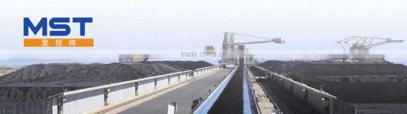 Chevron patterned conveyor belt