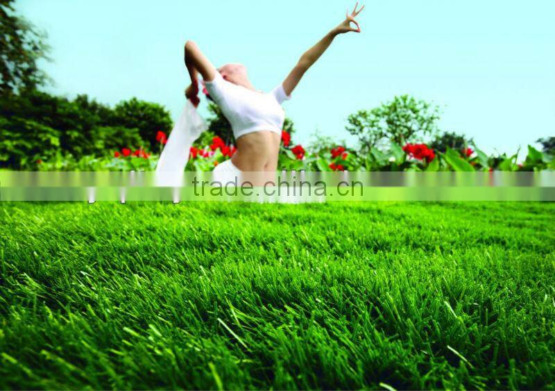 Plastic grass carpet