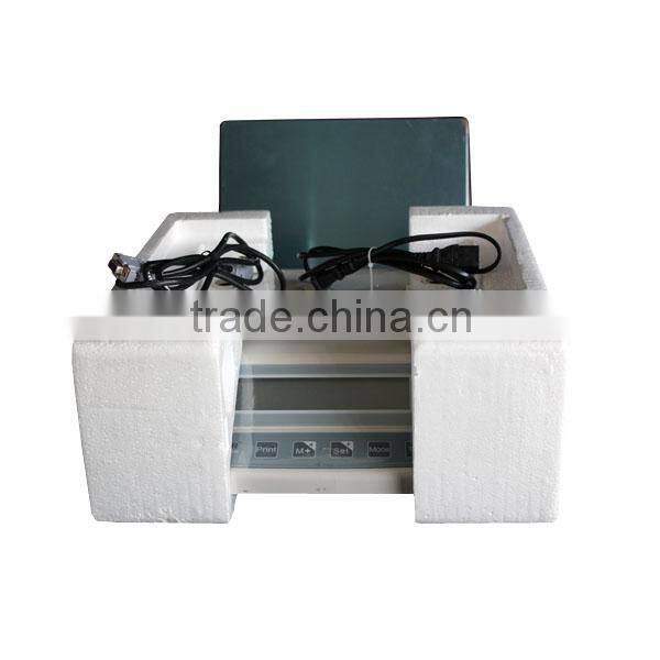 LCD display 25kg digital weighing scale for fruit