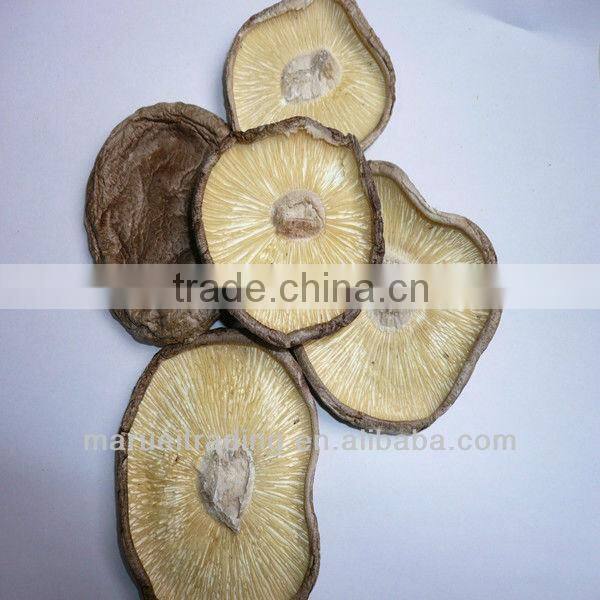 dried mushroom