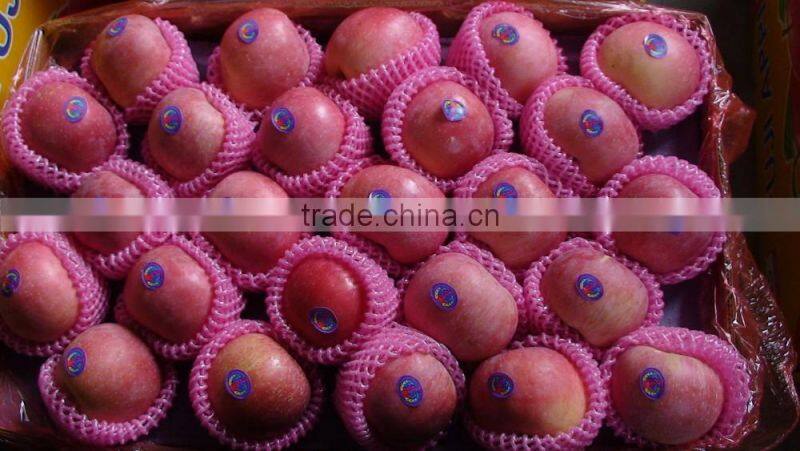 Chinese Exporter Fresh Red Fuji Apple Fruits Natural Growth Containing Vitamin C