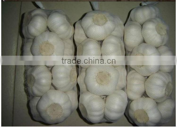 2016 new crop bulk garlic with competitive price