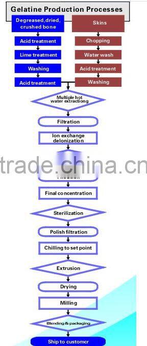Food grade collagen powder/hydrolyzed collagen protein for supplyment