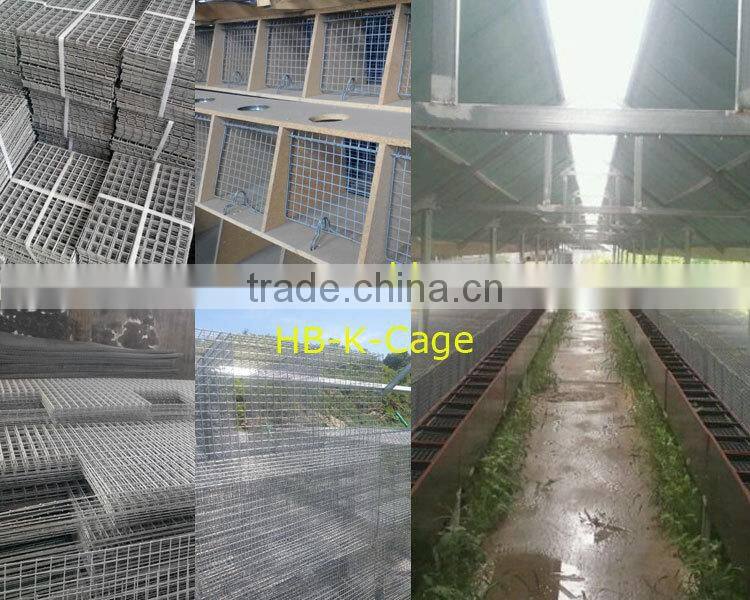Mink cage