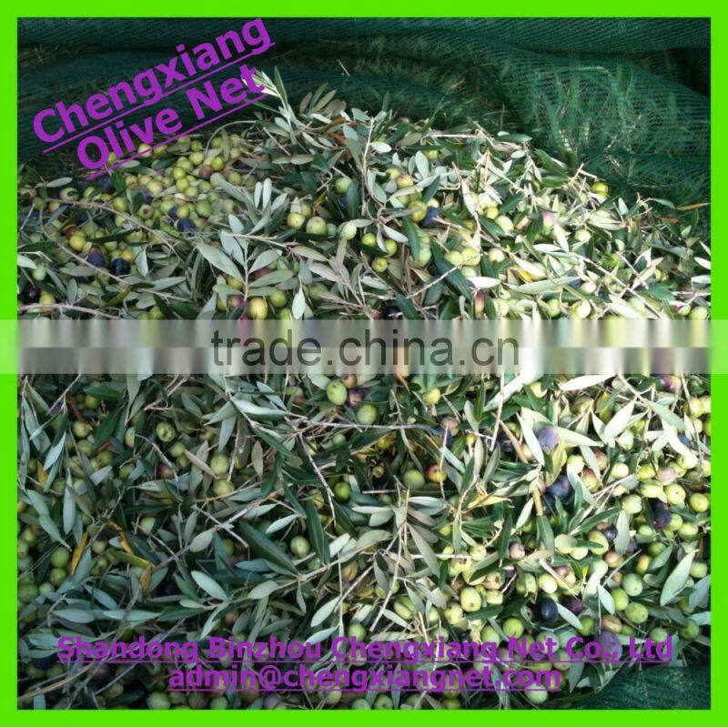 High Quality Agriculture Olive Harvest Net