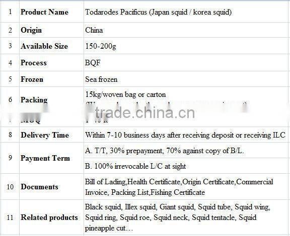 Whole Round Todarodes Pacificus Frozen Squid