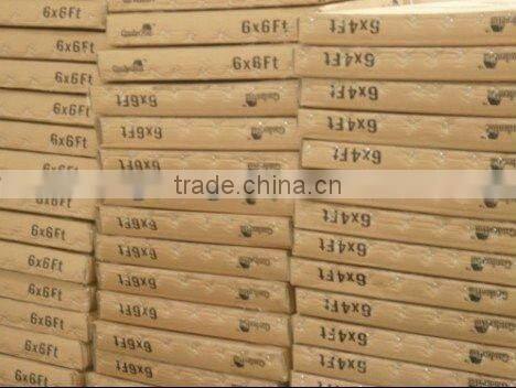 6.3X10FT walk-in greenhouse