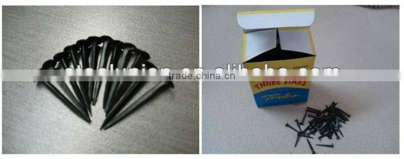 Black Shoe Tack Nail From China Manufacture