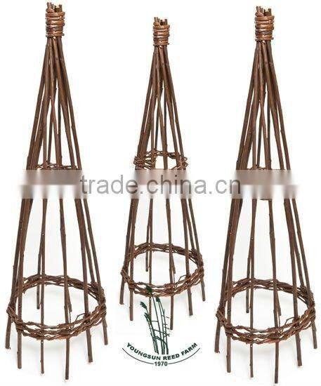 gardening willow obelisk