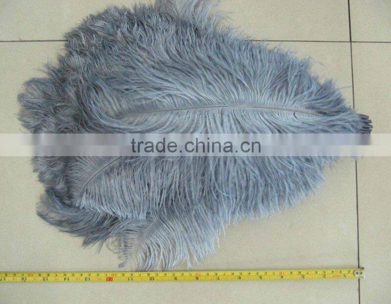 Carnival decorative large white ostrich feathers