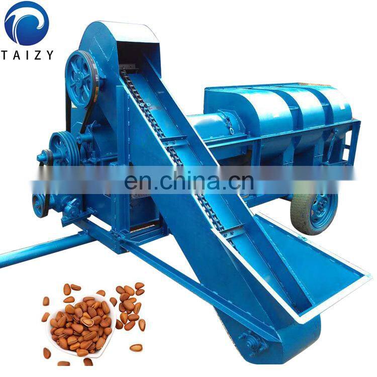 pine nut processing machine pine nut sheller pine nut cracker machine
