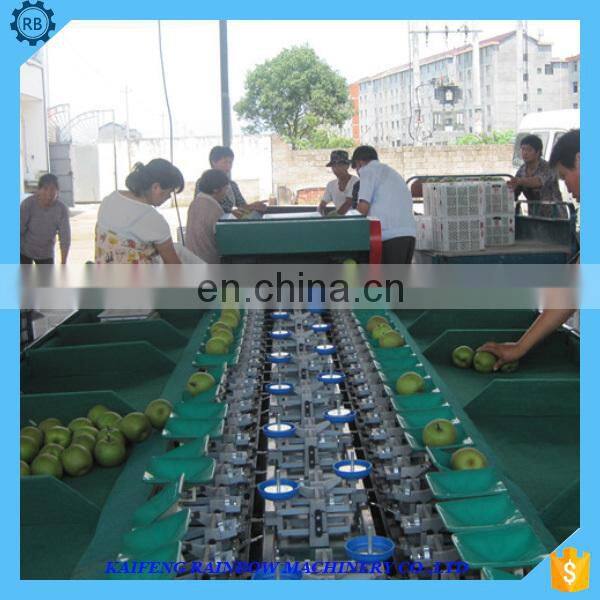 China high quality orange classify machine apple sorter machine fruit grading machine in fruit processing production line