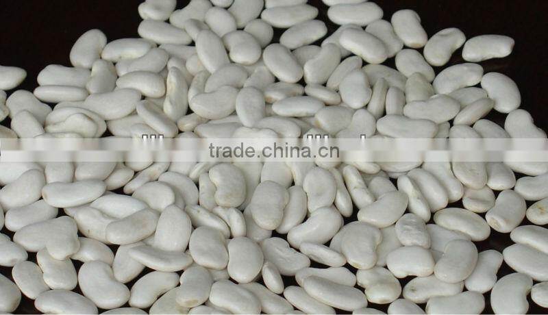 Flat White Kidney Beans