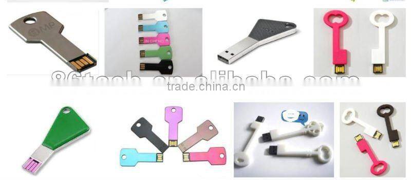 2016 christmas gift 2GB usb flash drive key chain From shenzhen factory colorful choice