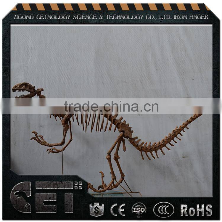Hot sale high quality dinosaur skeleton model simulated dinosaur skeleton