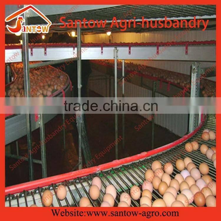 Stable steel structure professional chicken egg layer cage chicken egg layer farming