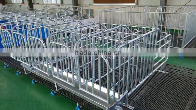 pig raising equipment and its price in