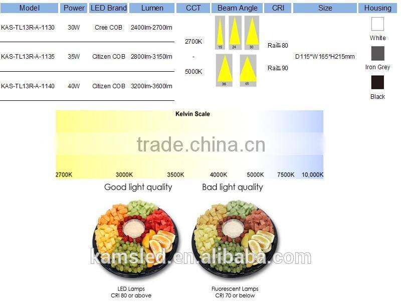 Global design spot track lighting high lumen rail light COB 30W LED Track Light