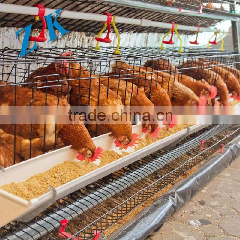 Automatic water for Chicken Cage , laying hen ,small Chicken ,chick