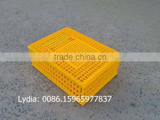 plastic poultry transport crate/chicken transport box lydia chang 0086.15965977837