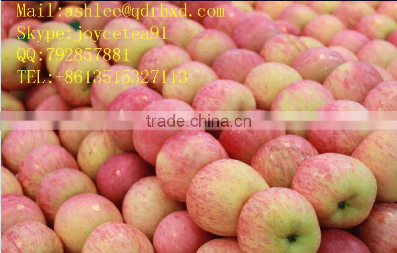 Apple Fuji India Pakistan Southeast Asia Europe UAE south africa