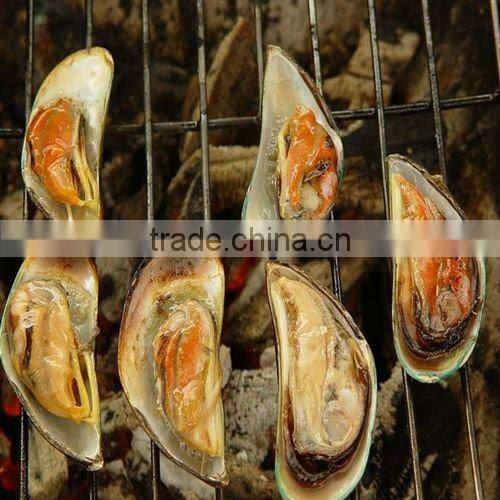 barbecue grill netting ( Bright color, good structure, export standard .)