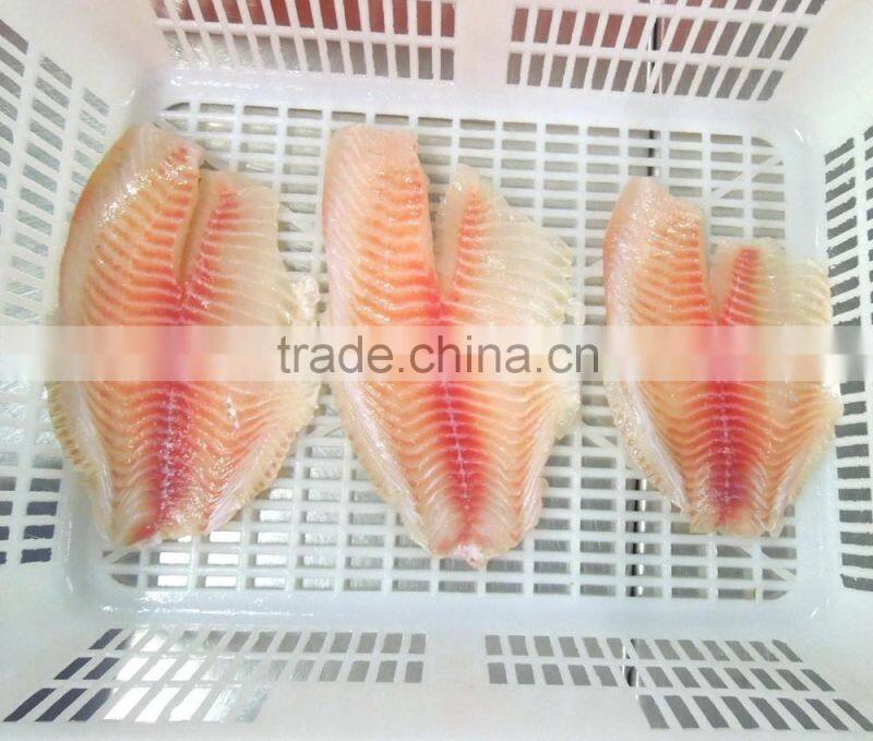 Frozen fish frozen tilapia fillet low price