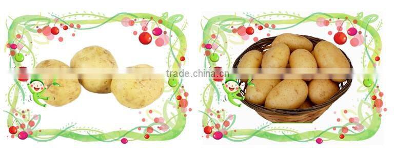 Best Fresh Potatoes New Price 2016