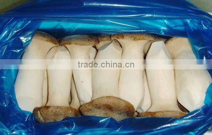delicious IQF/frozen pleurotus ,chinese gold supplier