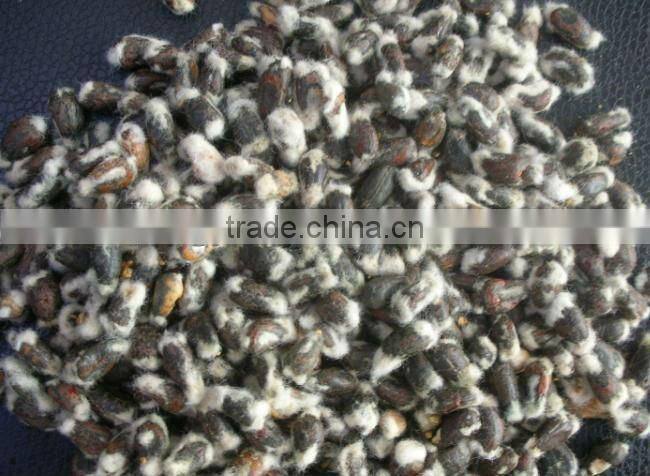 cotton seeds shelling machine cotton seeds sheller